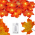 Springos® LED valguskett