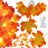 Springos® LED valguskett