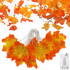 Springos® LED valguskett