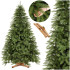 Tegelik jõulupuu Springos CT0243, Skandinaavia mänd Premium 240 cm
