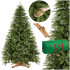 Tegelik jõulupuu Springos CT0243, Skandinaavia mänd Premium 240 cm