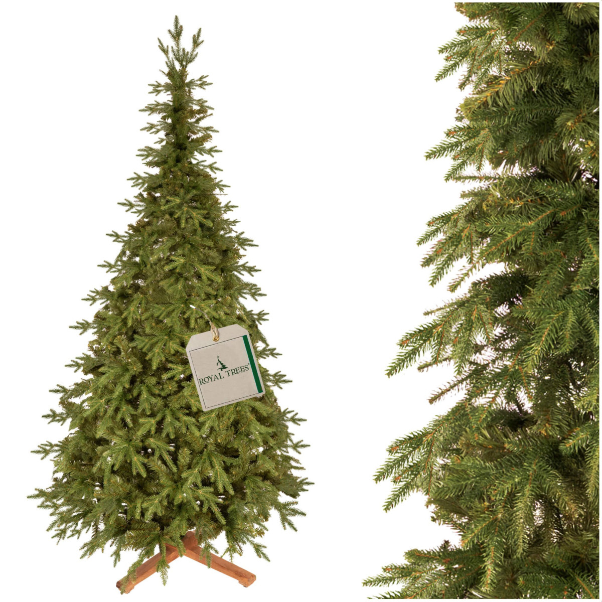 PREMIUM Himaalaja kuusk 240 CM