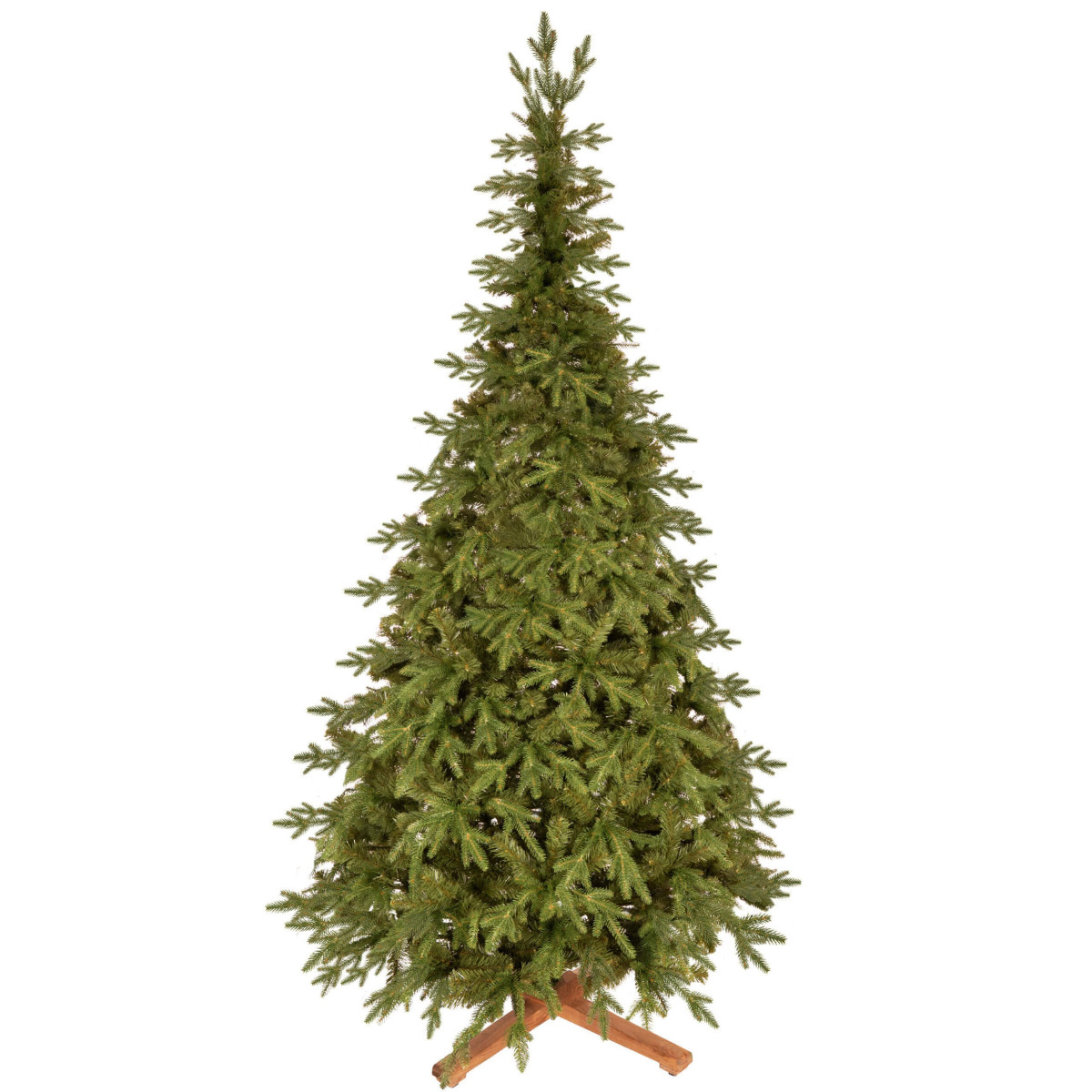 PREMIUM Himaalaja kuusk 240 CM