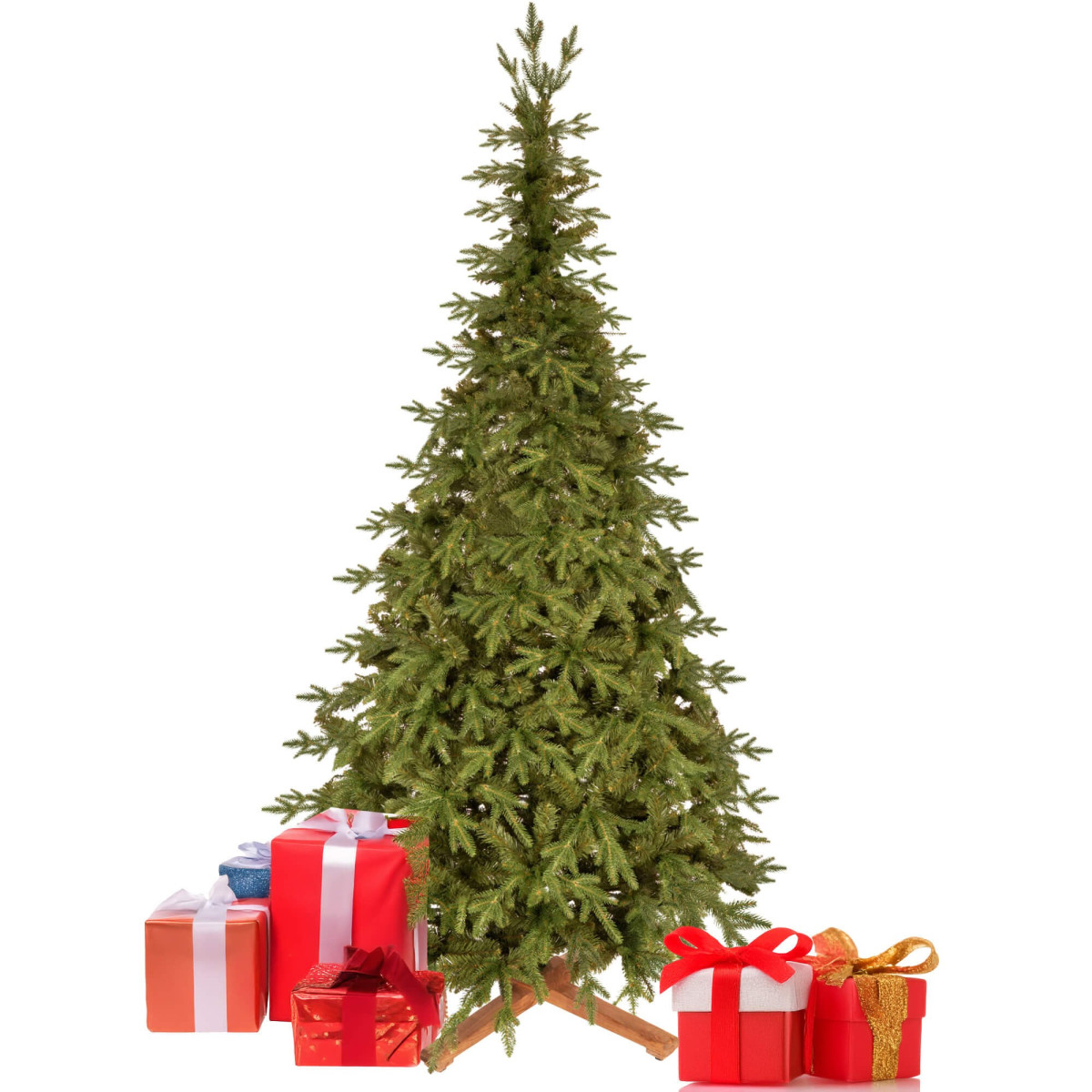 PREMIUM Himaalaja kuusk 240 CM