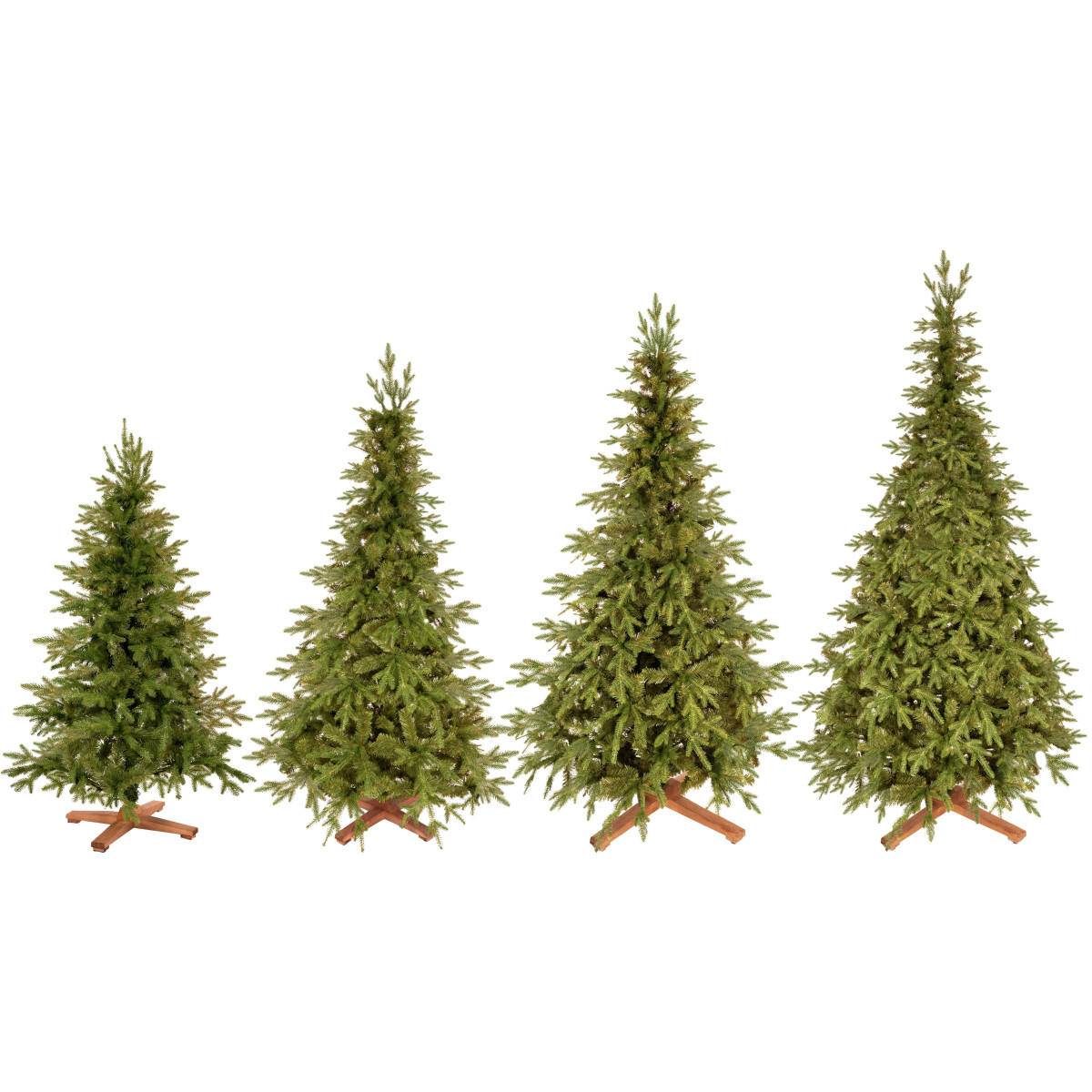 PREMIUM Himaalaja kuusk 240 CM