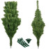 Tehispuu Springos CT0131, 180 cm