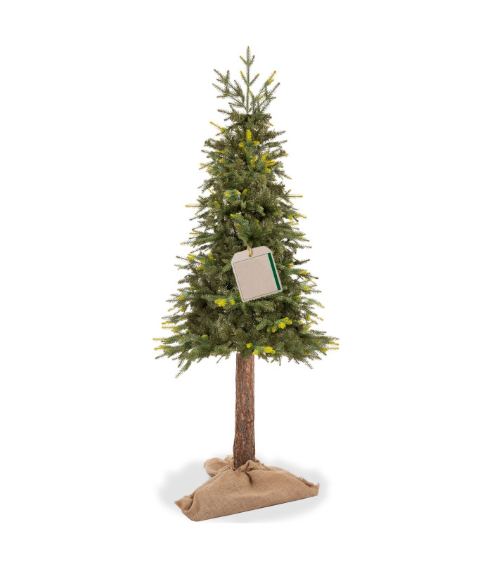 Springos CT0200, 220 cm
