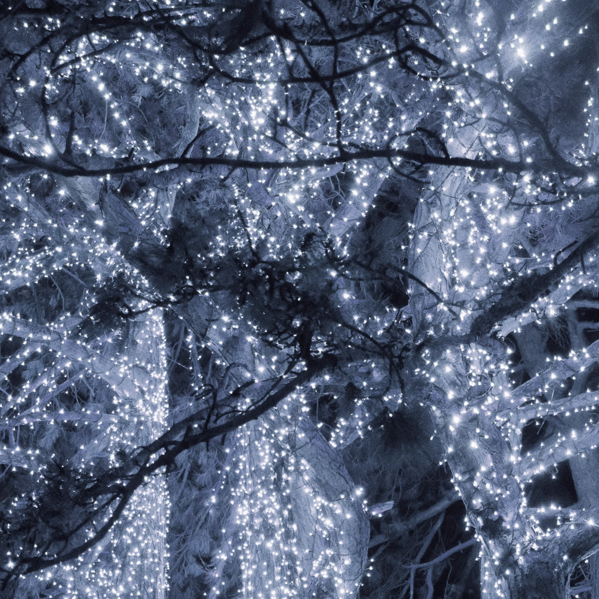 pringos Jõulutuled 500 LED