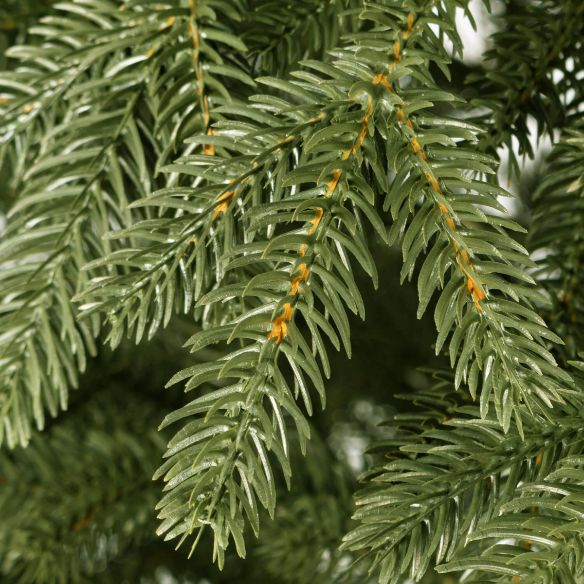 Jõulupuu Springos CT0154, 220 cm