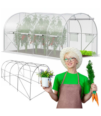 Kaarjas aiakasvuhoone tugevdatud kilega 140 g/m², 4 x 2,5 x 2 m, Springos GT0009