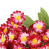 Roosa kunstlill Springos HA7413