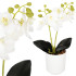 Kunstorhidee Springos HA7423, valge, 33,5 cm