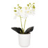 Kunstorhidee Springos HA7423, valge, 33,5 cm