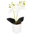 Kunstorhidee Springos HA7423, valge, 33,5 cm