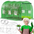Aiakasvuhoone Springos GT0002, 6 m2 (3x2x2 m)