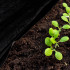 Umbrohutõrje agrotextiil, must, Springos AG0023, 50g/m2, 3,2x10 m