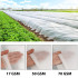 Talvine agrotekstiil, valge, Springos AG0011, 17g/m2, 10x3,2m