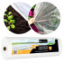 Talvine agrotekstiil, valge, Springos AG0009 17g/m2 50x3,2m