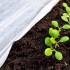 Talvine agrotekstiil, valge, Springos AG0009 17g/m2 50x3,2m