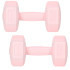 Hantel Springos FA1063, 2 x 2 kg