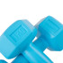 Kuusnurkne hantel Springos FA1030, 2 x 1 kg
