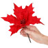 Jõulukaunistus „Poinsettia“ Springos, 23 cm × 15 cm, CA0721