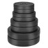 Hantel Springos FA1067, 20 kg