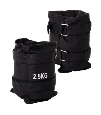 Randme- ja hüppeliigese raskused Springos FA0007 2 x 2.5 kg