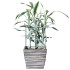 Metallist taimetugi lilledele ja taimedele Springos HA5169 45 cm