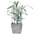 Metallist taimetugede komplekt lilledele ja taimedele Springos HA5170 75 cm
