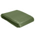 Present Springos GA2131, roheline, 120 g/m2, 4x5m