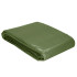 Present Springos GA2131, roheline, 120 g/m2, 4x5m