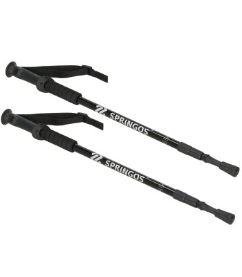 Kepikõnnikepid Springos KG0005
