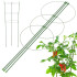 Lillerõngaste tugi Springos HA5167, roheline, 91 cm