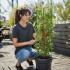 Lillerõngaste tugi Springos HA5167, roheline, 91 cm