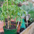 Lillerõngaste tugi Springos HA5167, roheline, 91 cm
