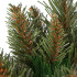 Tehiskuusk Springos CT0119, 200 cm