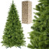Tehis-Kaukaasia kuusk Springos CT0157, 220 cm
