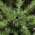 Kunstlik jõulupuu Premium Royal Trees Siberi nulg puidust alusega Springos CT0183 220 cm