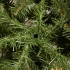 Kunstlik jõulupuu Premium Royal Trees, kaukaasia nulg puidust alusega – Springos CT0185 150 cm