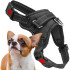 Reguleeritavad koerarakmed, survevabad, mustad – Springos PA0303, suurus S, 10–18 kg