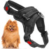Reguleeritavad koerarakmed, survevabad, mustad – Springos PA0303, suurus S, 10–18 kg