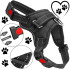 Reguleeritavad koerarakmed, survevabad, mustad – Springos PA0303, suurus S, 10–18 kg