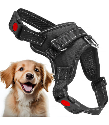 Reguleeritavad koerarakmed Springos, survevabad, mustad – PA0304, M, 19–35 kg