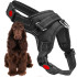 Reguleeritavad koerarakmed Springos, survevabad, mustad – PA0304, M, 19–35 kg