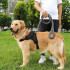 Reguleeritavad koerarakmed Springos, survevabad, mustad – PA0304, M, 19–35 kg