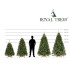 Tehisjõulupuu Siberi kuusk PE Premium, Royal Trees® Springos CT0238, 240 cm