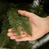 Springos Scandinavian Spruce kunstjõulupuu, roheline, CT0265, 150 cm