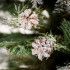 Springos Diamond Pine lumeefektiga kunstjõulupuu, roheline, 180 cm, CT0292