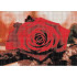 Teemantmaalimine Raamiga 20 x 30 cm